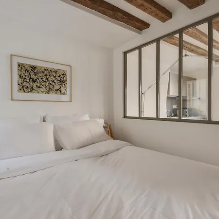 Cosy & Bright Under The Beams On Place Dauphine Id 319 Lejlighed *